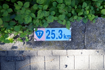 25.3 km
