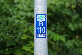 R110