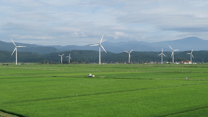 田んぼの中の風車