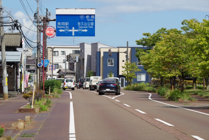 �S�O�S���ɍ���