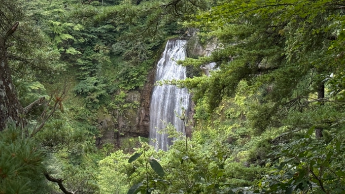 ���[�J�P�̑�