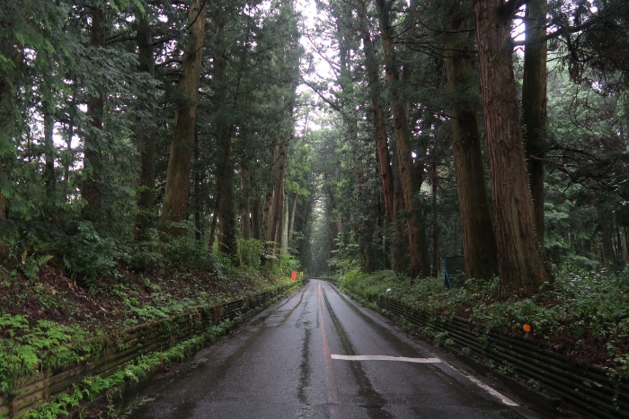 �܂�������