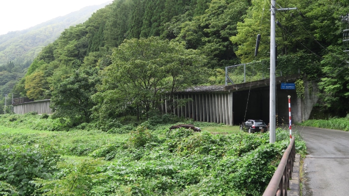 ��m�R�X�m�[�V�F�b�h