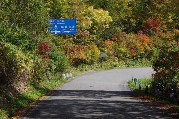 �����P���Ƃ̕���_