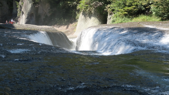 �����̑�