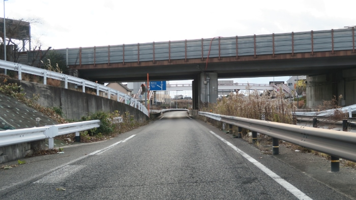 ���������ƌ���