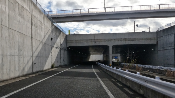 �L�c��o�C�p�X