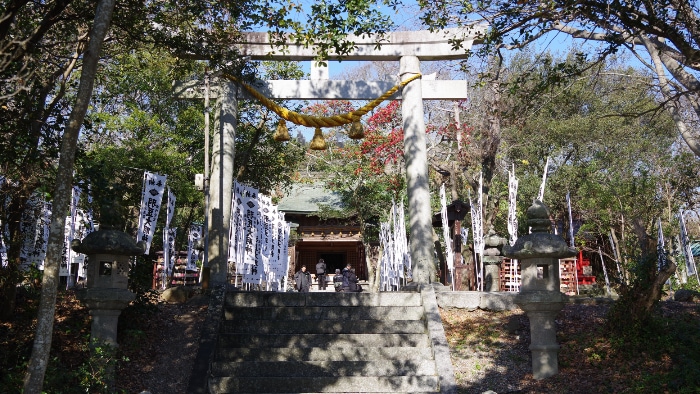 �H���_��