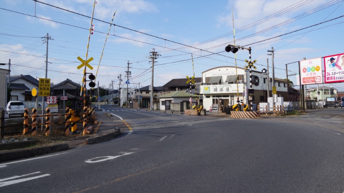 �i�q���L��