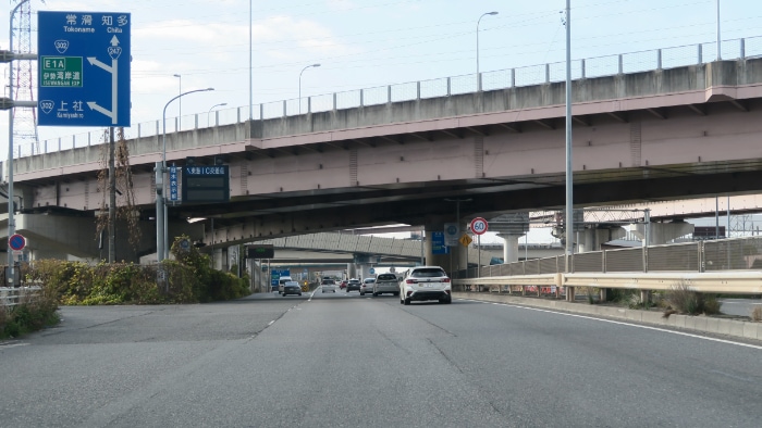 ���C�i�b�s