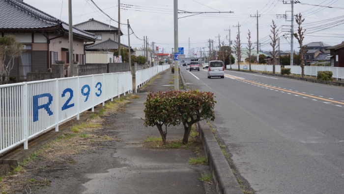 �X���b�g�W������