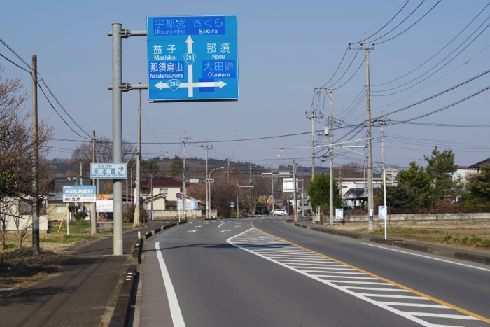 �Q�X�S��������