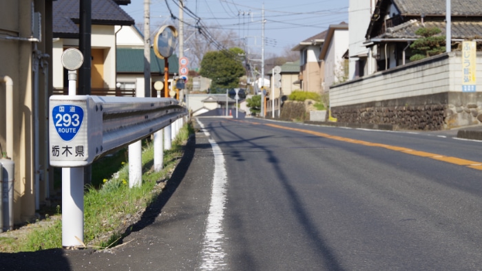 �V�[���W������