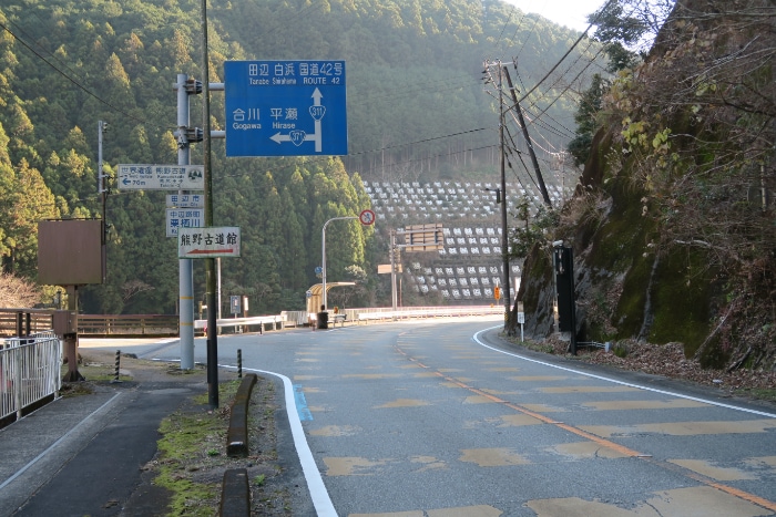 �R�V�P��������