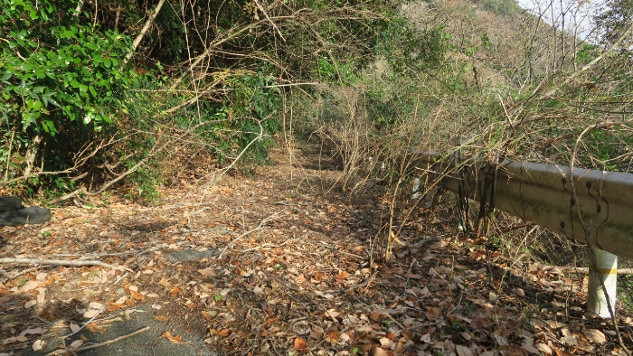 ����ɂ��̐�