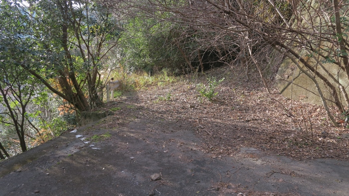 ����ɂ��̐�Q